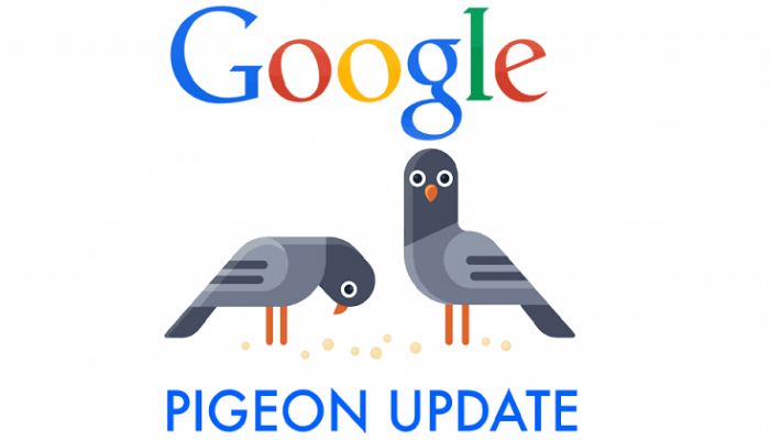 Google Pigeon (Thuật toán chim bồ câu)