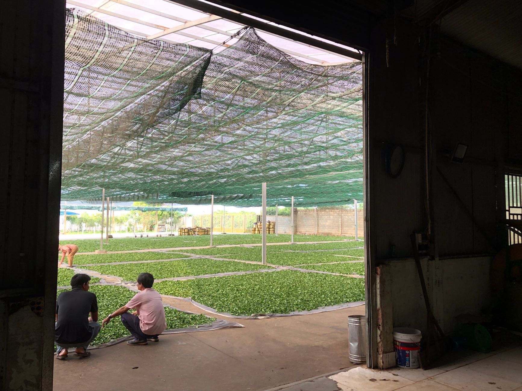 Tiêu Chuẩn Đánh Giá Xưởng Sản Xuất Cùm Treo Ống 60 Đạt Chuẩn Tiêu Chuẩn Đánh Giá Xưởng Sản Xuất Cùm Treo Ống 60 Đạt Chuẩn